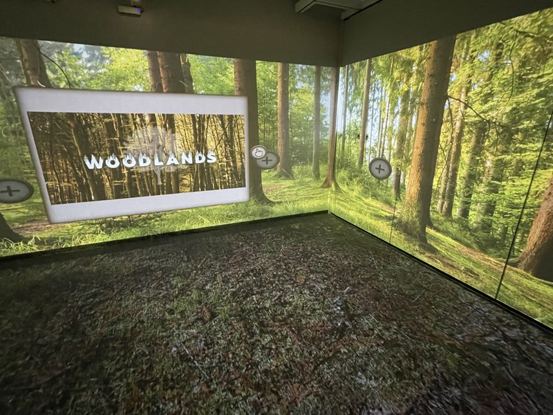 Immersive Spaces: User-Friendly Solutions for Diverse Environments and Needs
